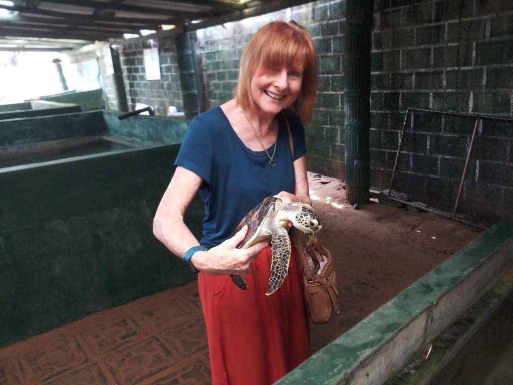 Turtle Hatchery
